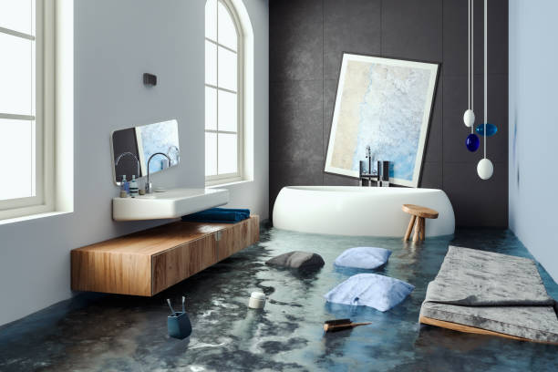 Best Water damage contractors near me  in Terryville, NY