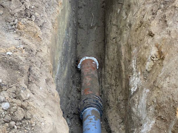 Best 24/7 water damage repair  in Terryville, NY