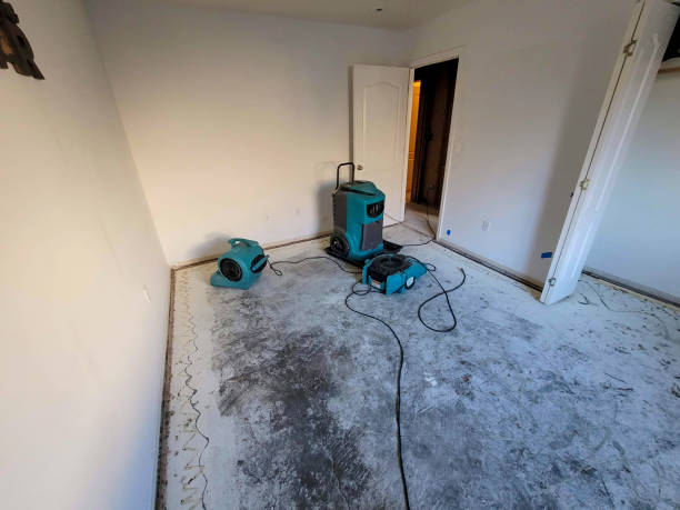 24/7 water damage repair in Terryville, NY