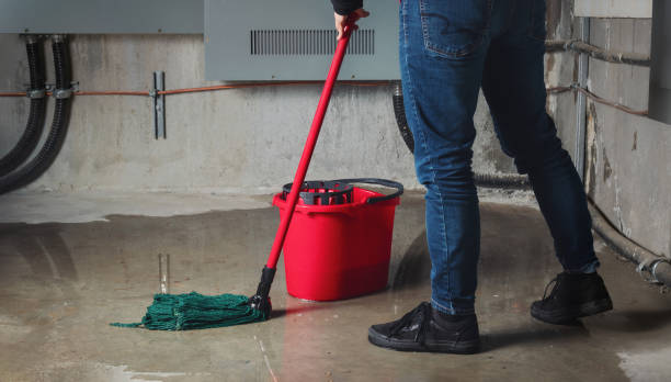Best Commercial water damage restoration  in Terryville, NY