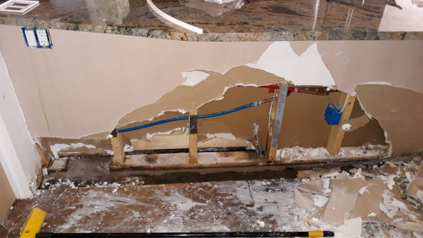 Best Sewage cleanup and water damage restoration  in Terryville, NY