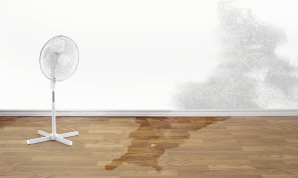 Best Water damage restoration near me  in Terryville, NY
