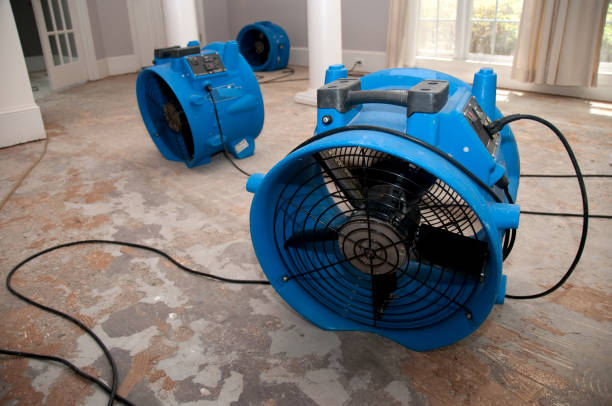 Best Water damage repair service  in Terryville, NY