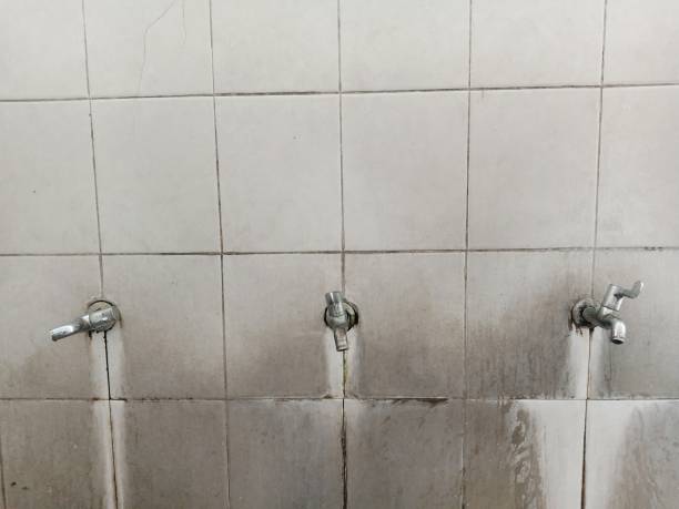 Best 24-hour water damage restoration  in Terryville, NY