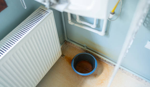 Best Carpet water damage restoration  in Terryville, NY