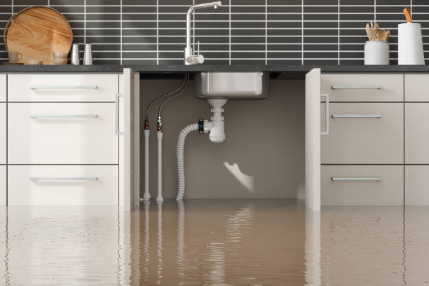 Best Professional water damage repair  in Terryville, NY