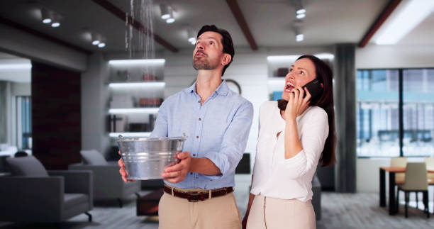 Best Flooded house restoration  in Terryville, NY
